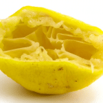 fruit scraps